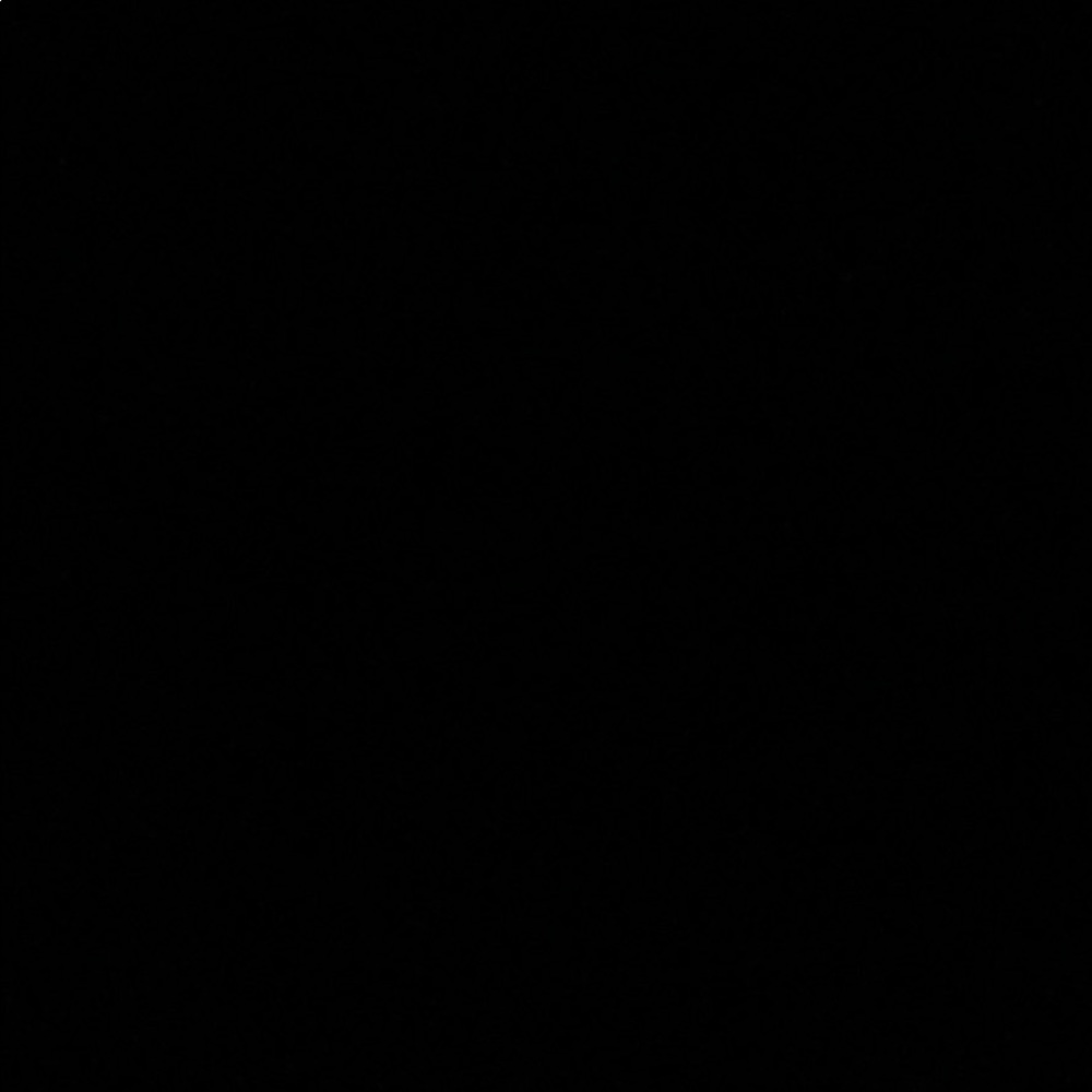 Meet your Posher, Zane